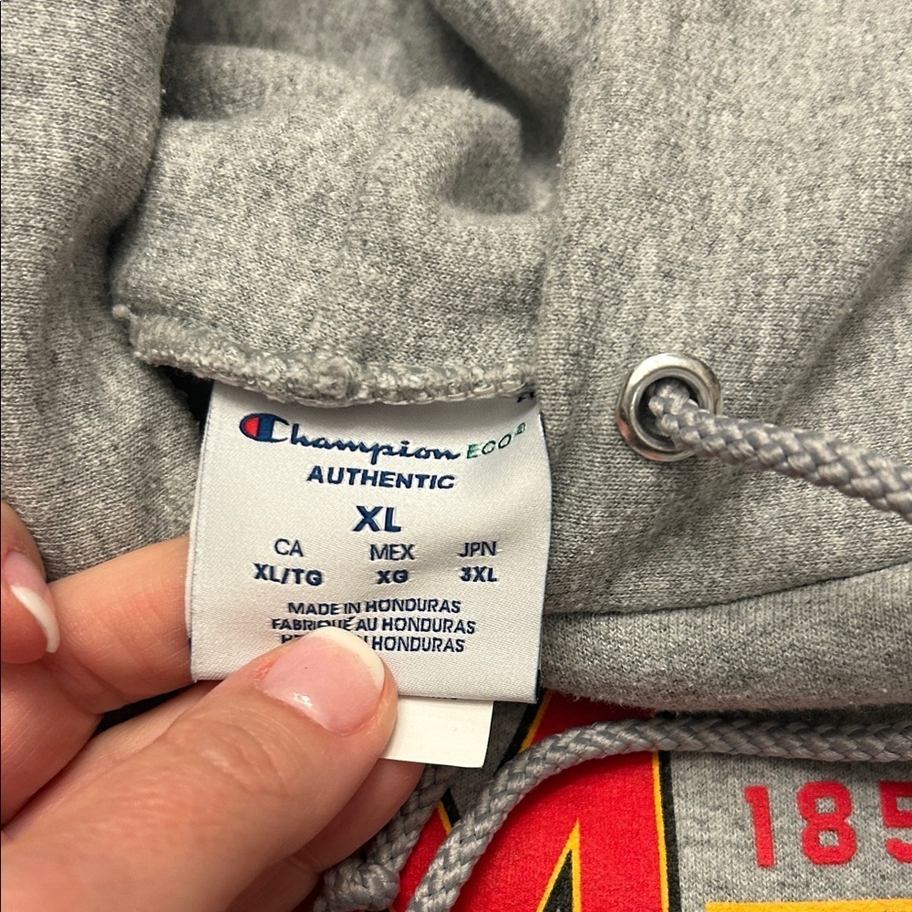 Champion Gray Maryland Logo Hoodie - Picture 3 of 4
